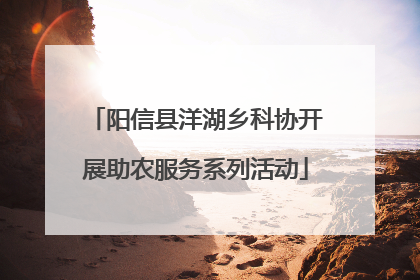 阳信县洋湖乡科协开展助农服务系列活动