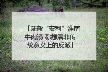 陆毅“安利”淮南牛肉汤 称想演非传统意义上的反派