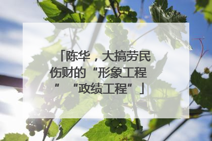 陈华，大搞劳民伤财的“形象工程”“政绩工程”