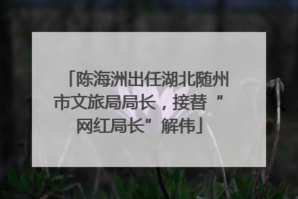 陈海洲出任湖北随州市文旅局局长，接替“网红局长”解伟