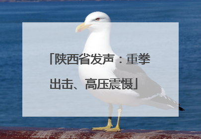 陕西省发声：重拳出击、高压震慑
