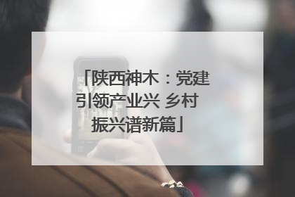 陕西神木：党建引领产业兴 乡村振兴谱新篇