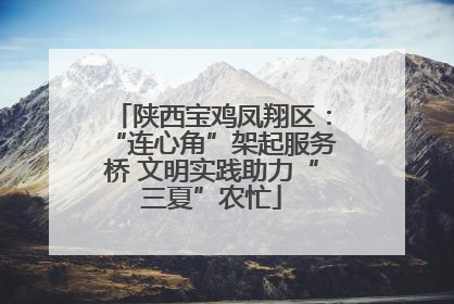 陕西宝鸡凤翔区：“连心角”架起服务桥 文明实践助力“三夏”农忙