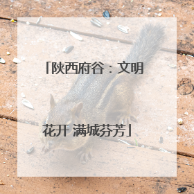 陕西府谷：文明花开 满城芬芳