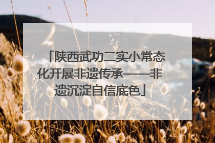陕西武功二实小常态化开展非遗传承——非遗沉淀自信底色