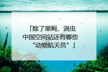 除了果蝇、涡虫 中国空间站还有哪些“动物航天员”