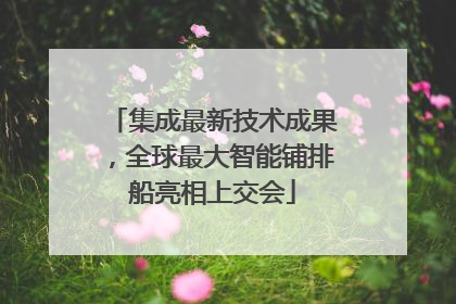 集成最新技术成果，全球最大智能铺排船亮相上交会
