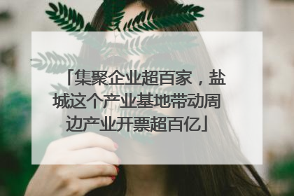 集聚企业超百家，盐城这个产业基地带动周边产业开票超百亿