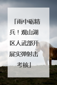 雨中砺精兵！观山湖区人武部开展实弹射击考核