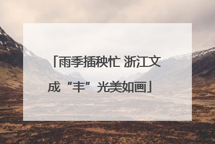 雨季插秧忙 浙江文成“丰”光美如画