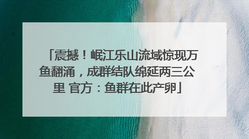 震撼！岷江乐山流域惊现万鱼翻涌，成群结队绵延两三公里 官方：鱼群在此产卵