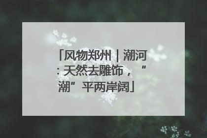 风物郑州｜潮河：天然去雕饰，“潮”平两岸阔