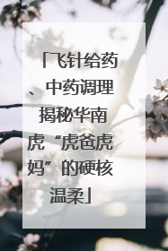 飞针给药、中药调理 揭秘华南虎“虎爸虎妈”的硬核温柔