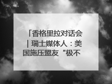 香格里拉对话会｜瑞士媒体人：美国施压盟友“极不理性” 欧洲国家无意与中国“脱钩断链”