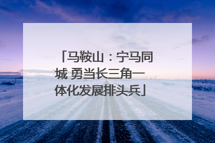 马鞍山：宁马同城 勇当长三角一体化发展排头兵
