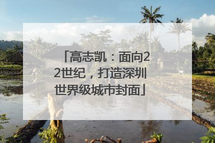 高志凯：面向22世纪，打造深圳世界级城市封面