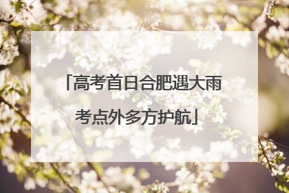 高考首日合肥遇大雨 考点外多方护航