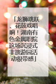 龙狮跳跃、花鼓戏唱响！湖南有色金属职院这场沉浸式非遗游园活动很带感
