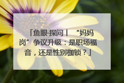 鱼眼·探问丨 “妈妈岗”争议升级：是职场福音，还是性别枷锁？
