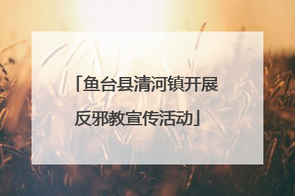 鱼台县清河镇开展反邪教宣传活动