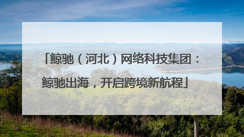 鲸驰（河北）网络科技集团：鲸驰出海，开启跨境新航程
