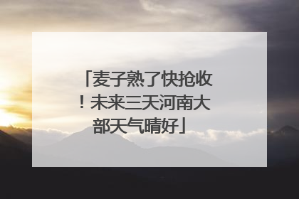 麦子熟了快抢收！未来三天河南大部天气晴好