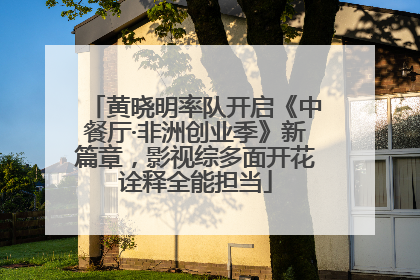 黄晓明率队开启《中餐厅·非洲创业季》新篇章，影视综多面开花诠释全能担当