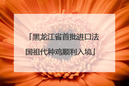 黑龙江省首批进口法国祖代种鸡顺利入境