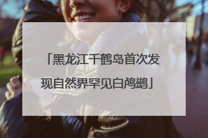 黑龙江千鹤岛首次发现自然界罕见白鸬鹚