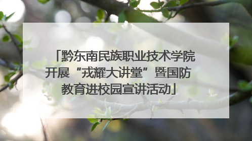 黔东南民族职业技术学院开展“戎耀大讲堂”暨国防教育进校园宣讲活动