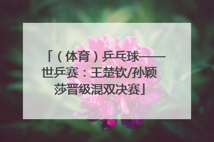 （体育）乒乓球——世乒赛：王楚钦/孙颖莎晋级混双决赛