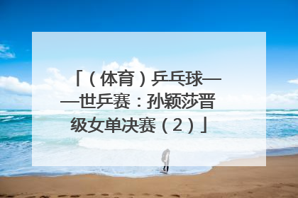 （体育）乒乓球——世乒赛：孙颖莎晋级女单决赛（2）