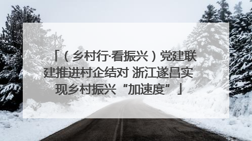 （乡村行·看振兴）党建联建推进村企结对 浙江遂昌实现乡村振兴“加速度”