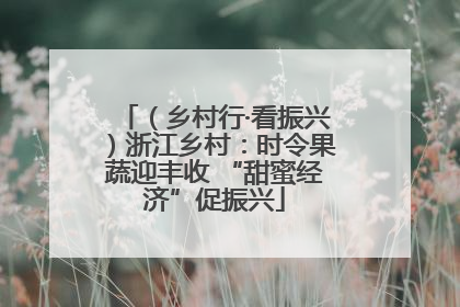（乡村行·看振兴）浙江乡村：时令果蔬迎丰收 “甜蜜经济”促振兴