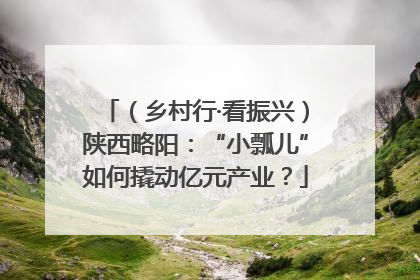 （乡村行·看振兴）陕西略阳：“小瓢儿”如何撬动亿元产业？