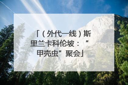 （外代一线）斯里兰卡科伦坡：“甲壳虫”聚会