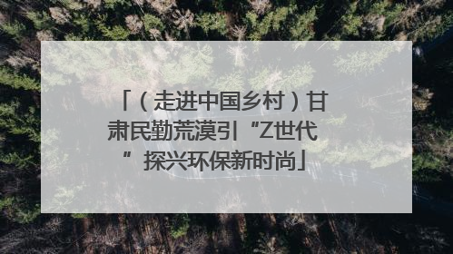 （走进中国乡村）甘肃民勤荒漠引“Z世代”探兴环保新时尚
