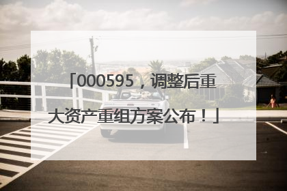 000595，调整后重大资产重组方案公布！