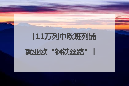 11万列中欧班列铺就亚欧“钢铁丝路”