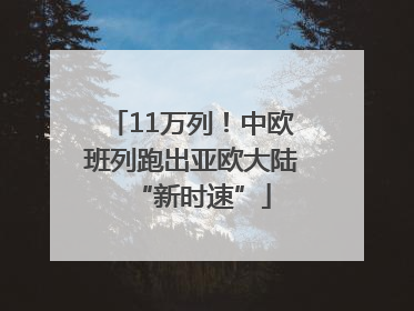 11万列！中欧班列跑出亚欧大陆“新时速”
