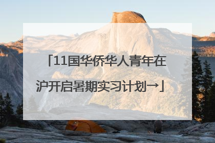 11国华侨华人青年在沪开启暑期实习计划→