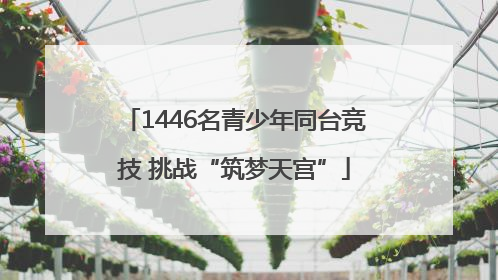 1446名青少年同台竞技 挑战“筑梦天宫”
