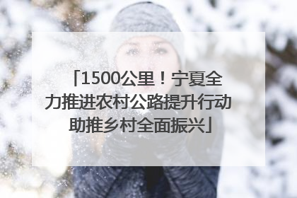 1500公里！宁夏全力推进农村公路提升行动 助推乡村全面振兴
