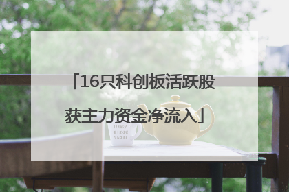 16只科创板活跃股获主力资金净流入