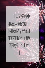 17分钟极速救援！国网石首供电守护江豚不断“电”