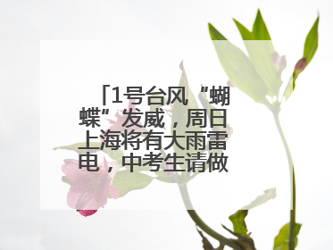 1号台风“蝴蝶”发威，周日上海将有大雨雷电，中考生请做好防范准备