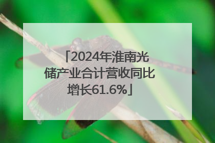 2024年淮南光储产业合计营收同比增长61.6%