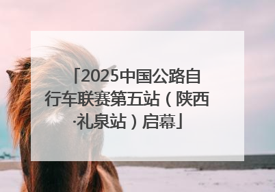 2025中国公路自行车联赛第五站（陕西·礼泉站）启幕