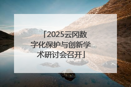 2025云冈数字化保护与创新学术研讨会召开