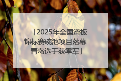 2025年全国滑板锦标赛碗池项目落幕 青岛选手获季军